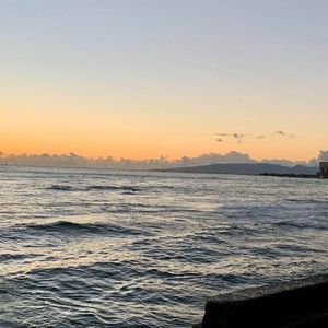 Meet your Posher, Lacey